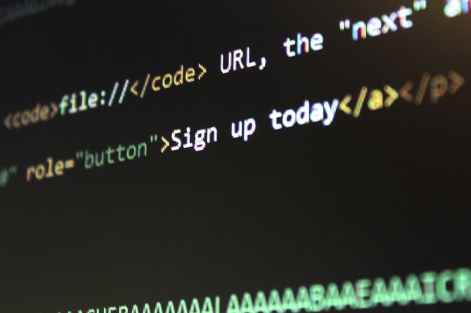 Frontend Development Bootcamp